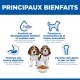 Affiche indiquant «PRINCIPAUX BIENFAITS» avec des icônes et des textes d'avantages en français, montrant deux chiots beagle et une gamelle de croquettes