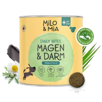 Daily Bites - Magen & Darm Snack 300 g