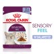 Torebka karmy dla kotów Royal Canin Sensory Feel, 85g, z twarzą szarego kota, kawałkami w galaretce i tekstem podkreślającym stymulację sensoryczną.