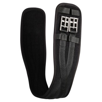 Schwarzes gepolstertes Haustiergeschirr mit verstellbaren Riemen und Metall-Schnallen, entworfen für Komfort und Sicherheit beim Spazierengehen.