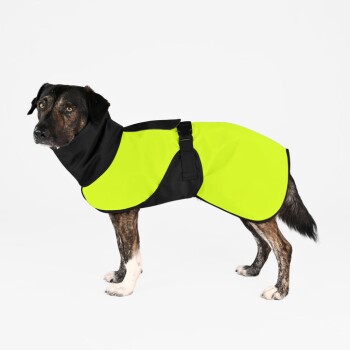Ein Hund trägt einen leuchtend gelben und schwarzen wasserdichten Mantel, steht vor einem weißen Hintergrund und zeigt sein stilvolles und funktionales Design.