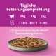 Fütterungshinweise für Katzenfutter, die eine Schüssel mit Nassfutter und Portionen für 3 kg, 4 kg und 5 kg Katzen zeigen. Text: "Tägliche Fütterungsempfehlung."