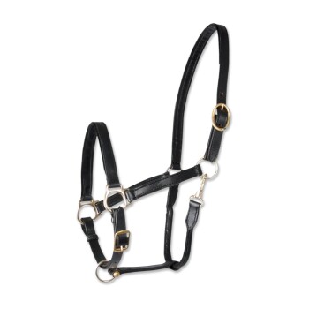 Waldhausen STAR Lederhalfter Robust VB/ COB (Vollblut)