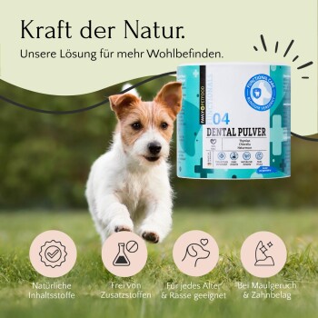 Blaues und weißes Zahnpulver für Haustiere, beschriftet mit "04 DENTAL PULVER," das natürliche Zutaten und Vorteile zeigt.
