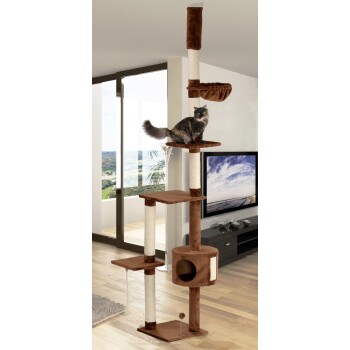 Ein hoher, brauner Katzenbaum mit mehreren Plattformen und einer gemütlichen Hängematte, mit einer flauschigen Katze, die auf der obersten Ebene sitzt.