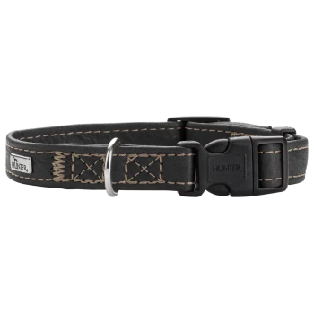 Schwarzes Lederhalsband für Hunde mit beigen Nähten, mit einem silbernen D-Ring und einer Kunststoffschnalle, beschriftet mit 'HUNTER.'
