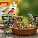 Vogelfuttermischung in einer Schüssel mit fünf kleinen Vögeln, die fressen, und einer PANTO Streufutter Vogelfuttermischung im Hintergrund.