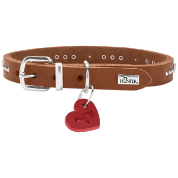 Braunes Lederhalsband mit silbernen Nieten und Schnalle, rotem Herzanhänger, Metallnamensschild mit der Aufschrift 'HUNTER'.