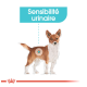 Illustration d'un chien avec une zone mise en évidence sur son dos, étiquetée "Sensibilité urinaire," indiquant une sensibilité urinaire.