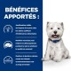 Chien avec un collier bleu, accompagné d'un texte sur les avantages pour les chiens intolérants à la nourriture : meilleure peau, moins de démangeaisons et protection environnementale améliorée.