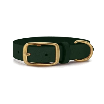 Dunkelgrünes Haustierhalsband mit einer goldenen Schnalle und Schlaufe, präsentiert auf einem weißen Hintergrund.