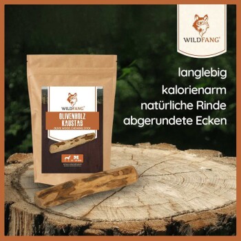 ® Welpen Paket XXL Willkommen Liebling S