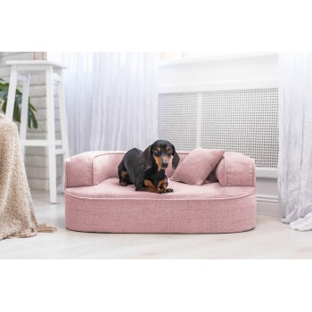 Ein schwarz-brauner Dackel ruht bequem auf einem weichen rosa Haustierbett mit zwei kleinen Kissen, in einem hellen, luftigen Raum.