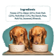 Two golden retrievers eating from white bowls filled with pet food, with a list of ingredients displayed above: Potato, Maize, Fresh Pork, and more.