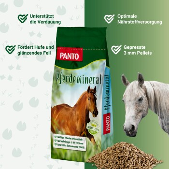 PANTO Pferdefutterbeutel mit einem braunen Pferd, mit Text, der Vorteile wie Verdauungsunterstützung, glänzendes Fell und Nährstoffversorgung hervorhebt.