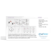 Rückseite der Verpackung des FIV-Antikörper-Schnelltestkits mit Anweisungen, Inhaltsangabe und getTested-Logo