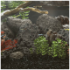 Eine lebendige Aquarienlandschaft mit bunten Fischen, die zwischen dunklen Steinen und üppigen Wasserpflanzen schwimmen, mit einem Treibholzast darüber.