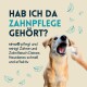 Ein Golden Retriever mit offenem Mund, während eine Hand ein Zahnpflegeprodukt sprüht. Text: "HAB ICH DA ZAHNPFLEGE GEHÖRT?"