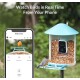 Intelligenter Vogelfutterspender mit einer Kamera und einem Vogel, der darauf sitzt, plus einem Smartphone, das den Live-Feed zeigt. Text: "Beobachten Sie Vögel in Echtzeit."