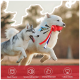 Zwei Hunde, ein Siberian Husky und ein Samojede, spielen mit einem roten Kauspielzeug im Freien. Text: "Rindfleischgeschmack", "Geräuschattraktion", "Kauresistent", "Saubere Zähne."