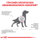 Hundesilhouette mit deutschem Text zur Herzgesundheit, der reduzierte Herzkontraktionen, hohen Blutdruck und Gewichtsverlust bei betroffenen Hunden anmerkt.