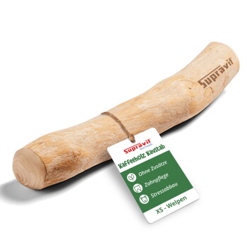 Ein natürlicher, gebogener Hundekau stick aus hellfarbigem Holz, ideal für das Kauen von Haustieren und die Zahngesundheit.