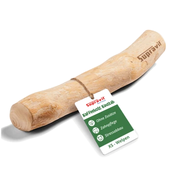 Ein natürlicher, gebogener Hundekau stick aus hellfarbigem Holz, ideal für das Kauen von Haustieren und die Zahngesundheit.