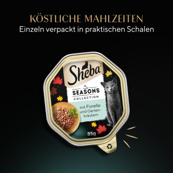 Sheba Seasons Collection Katzenfutterverpackung mit Forelle und Gartenkräutern, 85 g, mit herbstlichen Blattdekorationen und dem Text "Köstliche Mahlzeiten."