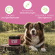 Ein glücklicher schwarz-grauer Hund sitzt im Gras mit "Venus Balance Powder" in der Nähe, das Vorteile für hormonelles Gleichgewicht und Scheinträchtigkeit hervorhebt.
