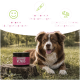 Ein glücklicher schwarz-grauer Hund sitzt im Gras mit "Venus Balance Powder" in der Nähe, das Vorteile für hormonelles Gleichgewicht und Scheinträchtigkeit hervorhebt.