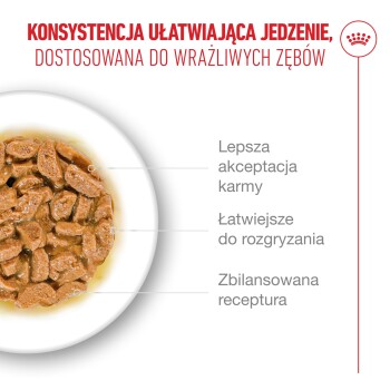 Mokra karma dla psów o miękkiej konsystencji dla wrażliwych zębów, z lepszą akceptacją, łatwiejszym żuciem i zbilansowaną recepturą w języku polskim.