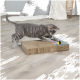 Ein verspieltes graues Tabby-Kätzchen kratzt an einem Pappkratzbaum mit bunten Designs oben, auf einem hellen Holzboden.