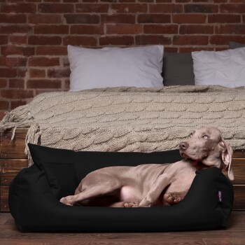 Ein entspannter grauer Weimaraner-Hund liegt in einem schwarzen Haustierbett, mit einer gemütlichen gestrickten Decke und Kissen im Hintergrund.