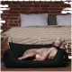 Ein entspannter grauer Weimaraner-Hund liegt in einem schwarzen Haustierbett, mit einer gemütlichen gestrickten Decke und Kissen im Hintergrund.