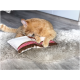 Een oranje tabby kat ligt op een fluffy tapijt, speels tegen een klein, decoratief kussen met een bruin en wit ontwerp.