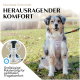 Ein Hund in einem leichten Geschirr sitzt auf Gras am See, mit Text über "Maximale Sicherheit" und "Herausragender Komfort."