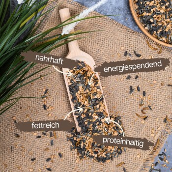 Ein Holzlöffel mit gemischten Samen und Körnern auf Jute, beschriftet mit "nahrhaft," "energiespendend," "fettreich," und "proteinhaltig."