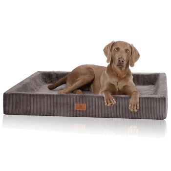 Ein brauner Hund, der auf einem plüschigen, grauen Hundebett mit gerippter Textur liegt, mit einem kleinen Lederschild, auf dem "SNOUTSWUFF" steht.