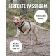 Ein glücklicher Hund in einem Geschirr läuft auf einem Waldweg mit Textüberlagerung: "Perfekte Passform", "Verstellbare Größe", "Wächst mit dem Hund."