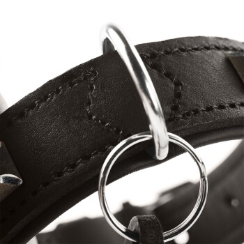 Nahaufnahme eines schwarzen Leder-Haustierhalsbands mit silberner Hardware und Nähdetails, das einen Metallring zur Leinenbefestigung zeigt.