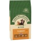 1.5kg bag of James Wellbeloved kitten food with green stripes, featuring ginger and black kittens, labeled "Turkey" and "Hypoallergenic."