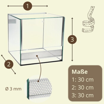 Glaswürfel-Terrarium mit frontaler perforierter Lüftung (Ø 3 mm), Pfeilen, die die Maße anzeigen, Text 'Maße 1: 30 cm 2: 30 cm 3: 30 cm'