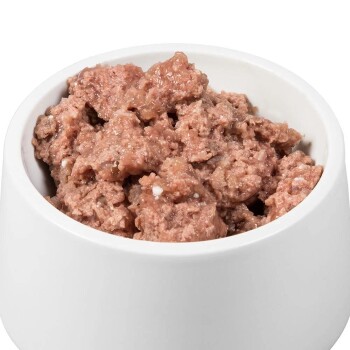 Eine weiße Hundenapf, gefüllt mit feuchtem, fein gehacktem fleischähnlichem Hundefutter.