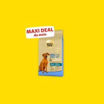 Sac de nourriture pour chien Select Gold Maxi Adult Sensitive avec un chien marron et texte « MAXI DEAL du mois » sur fond jaune.
