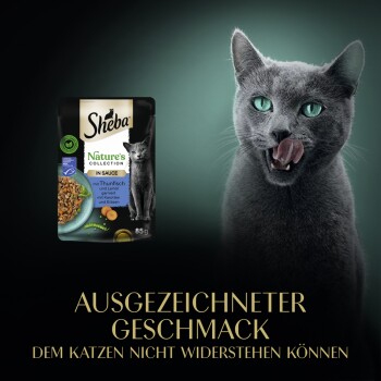 Eine graue Katze leckt sich die Lippen neben Sheba Nature's Collection Katzenfutter mit Thunfisch, Linsen, Karotten und Erbsen. Text: "AUSGEZEICHNETER GESCHMACK."
