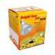 Verpackung der Bright Sun UV Desert 70W Lampe, mit einer Glühbirnenillustration, Produktname und mehrsprachigen Beschreibungen zur Pflege von Reptilien.