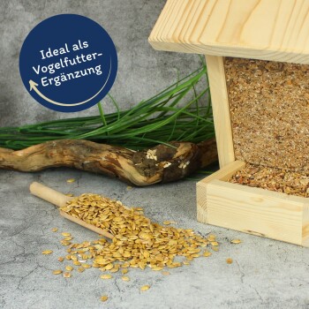 Holz-Vogelfutterspender gefüllt mit Samen, mit verschütteten Samen auf dem Boden und einem blauen Etikett mit der Aufschrift 'Ideal als Vogelfutter-Ergänzung.'