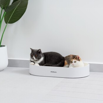 Zwei Katzen, eine grau-weiß und die andere dreifarbig, entspannen in einem weißen Haustierbett mit der Aufschrift "PétRhein", mit einer grünen Pflanze hinter ihnen.