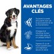 Un chien de race Bernoise souriant, à côté de texte bleu sur les avantages d'un aliment pour animaux, mentionnant glucosamine, oméga-6, et agneau.