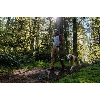 Eine Person geht mit einem Golden Retriever auf einem Waldweg, umgeben von üppigem Grün und hohen Bäumen, während Sonnenlicht durch die Blätter filtert.